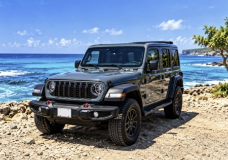 Jeep Wranglers Special edition Willy Unlimited